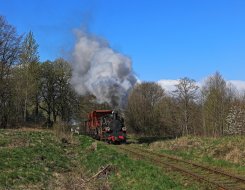 Frühling in Koszalin Tag 1